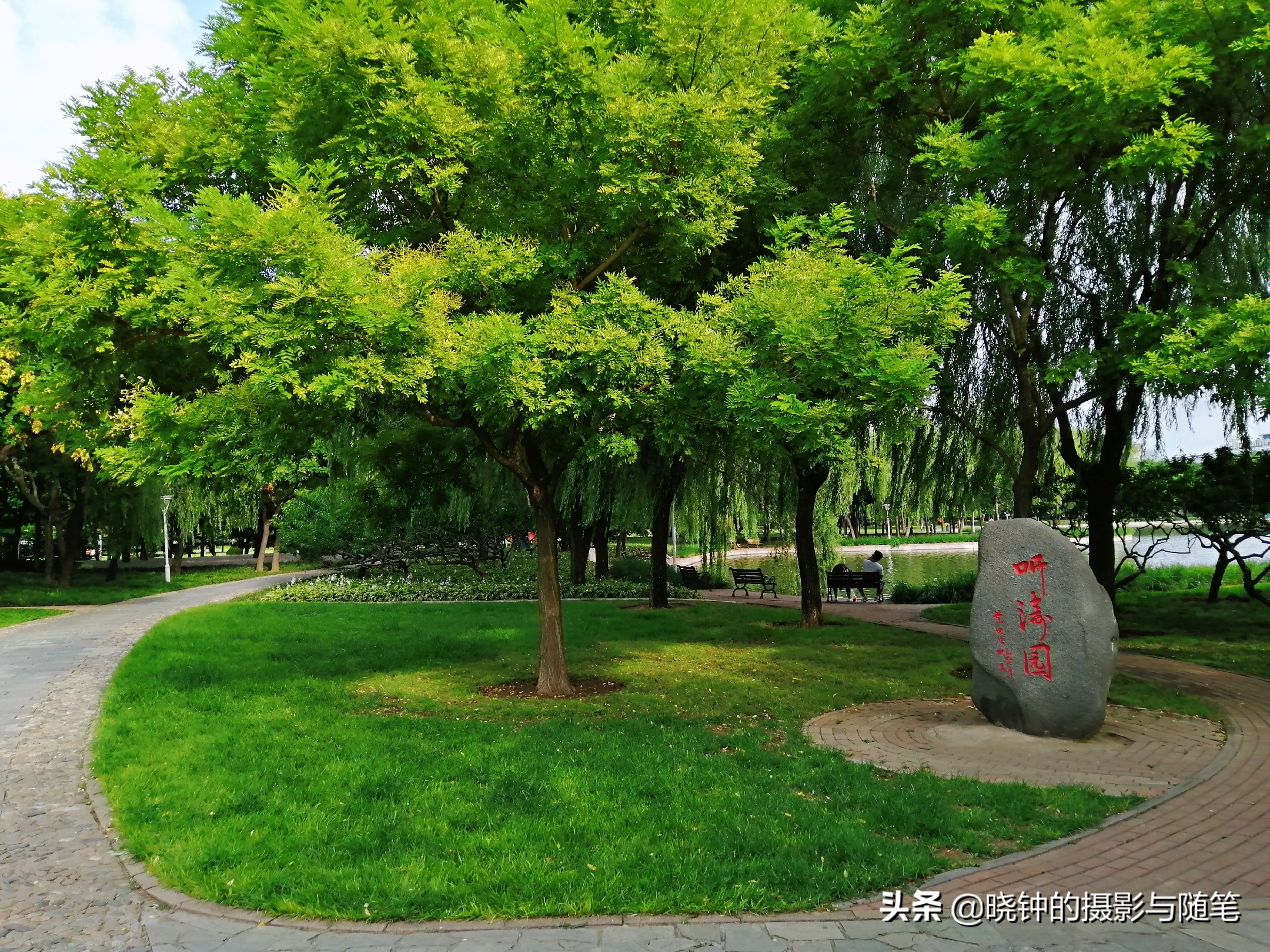 坐拥16万平方米绿地，草坪比20个足球场还大，天津这座公园厉害了