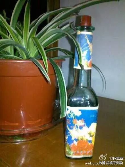 西湖为杭州做了什么？这些90%老杭州人用过的东西你见过吗