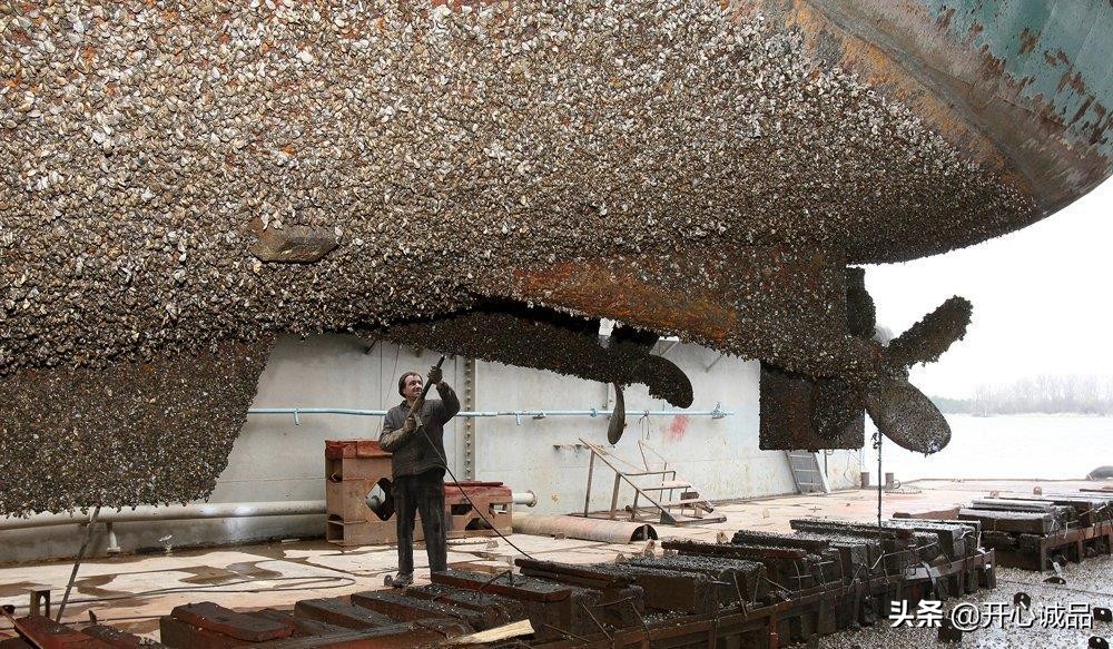 极限工作之船底清洁：虽说大船底能刮好几十吨海鲜，你敢去吃吗？