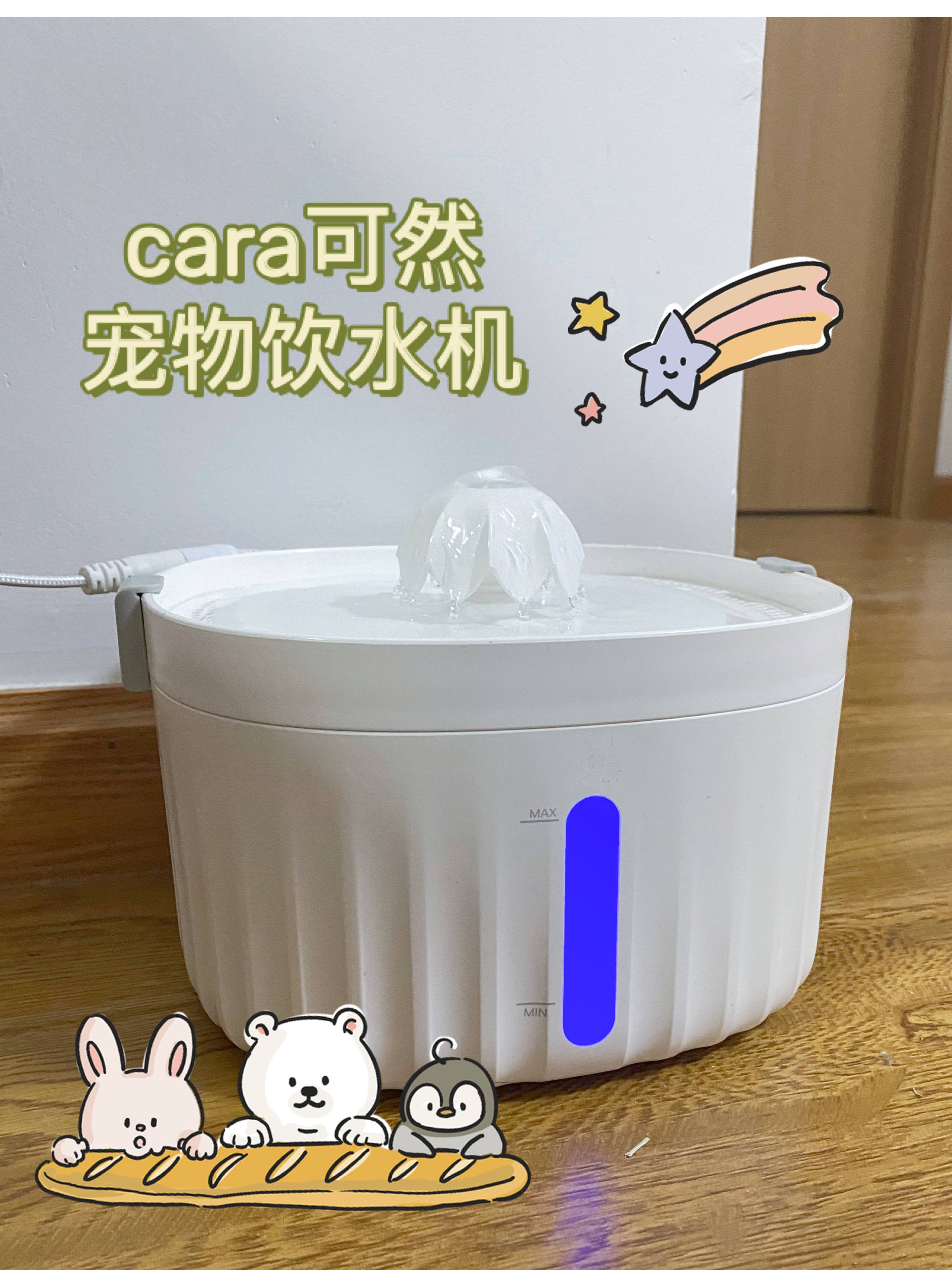 猫咪用品必买清单猫咪饮水机,猫咪饮水机实用推荐