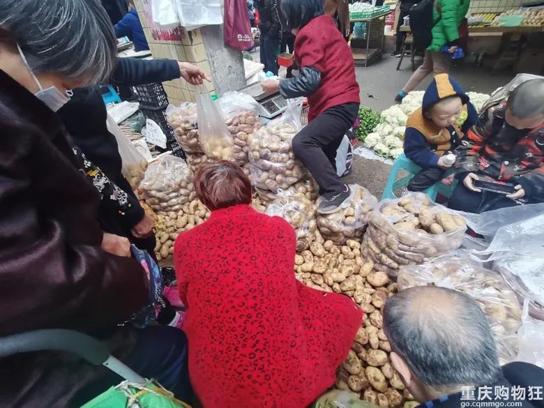 渝北区狗儿市场有卖猫的吗,渝北狗儿市场买狗