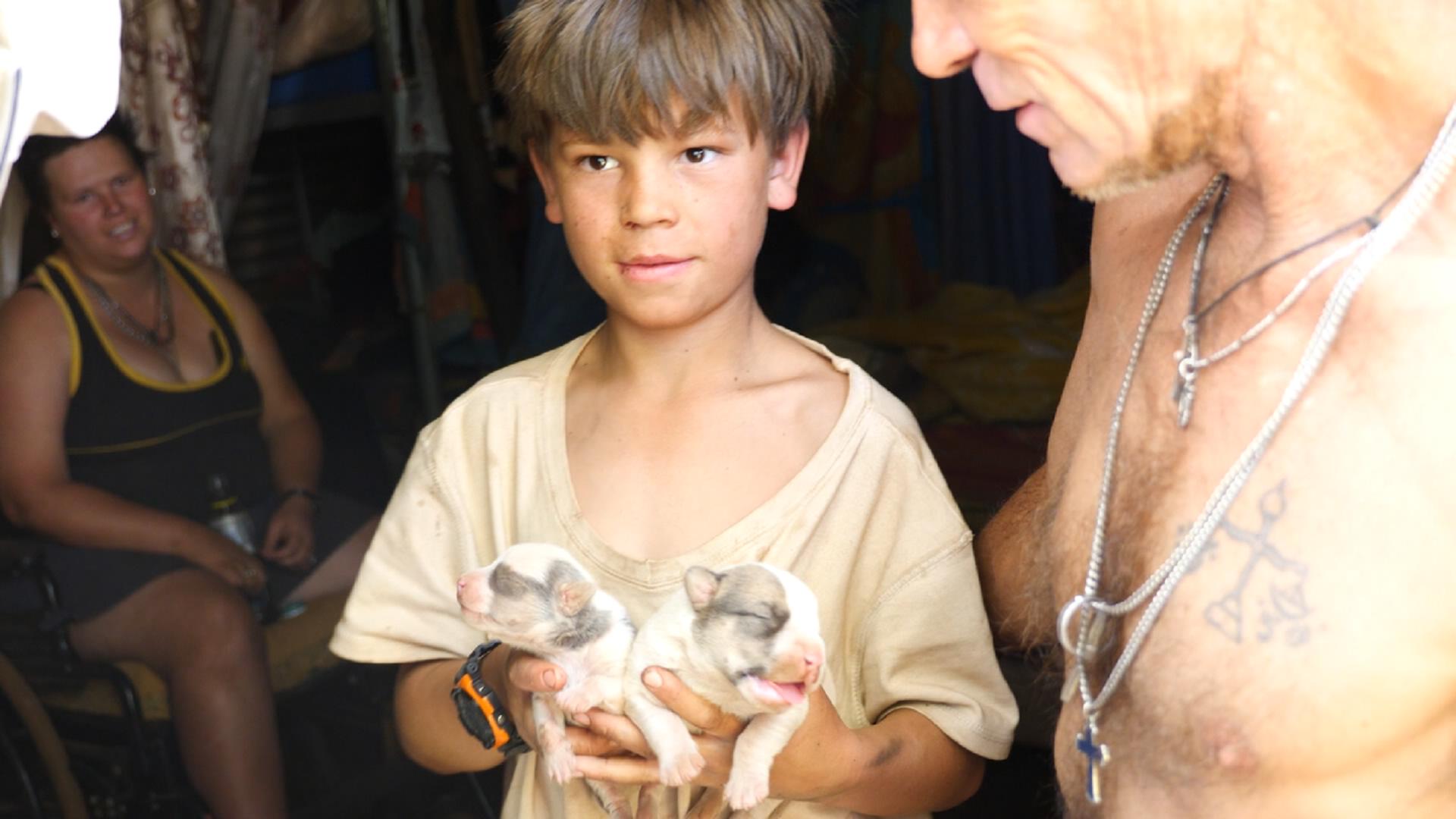 南非犯罪率和艾滋率,南非艾滋的现状