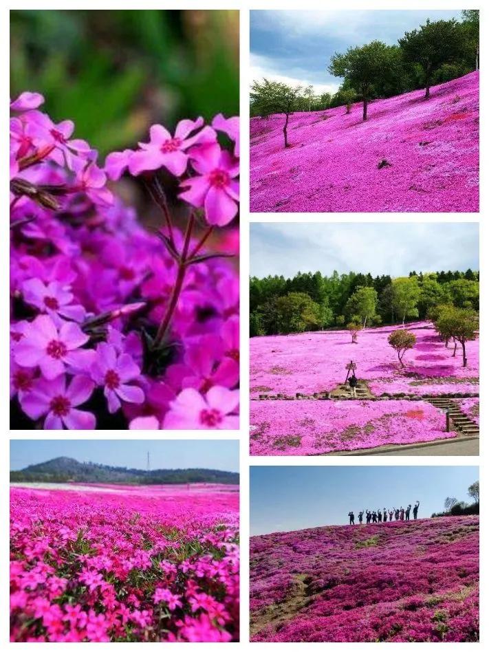 彭山景区活动购票,常德彭山景区游玩攻略图