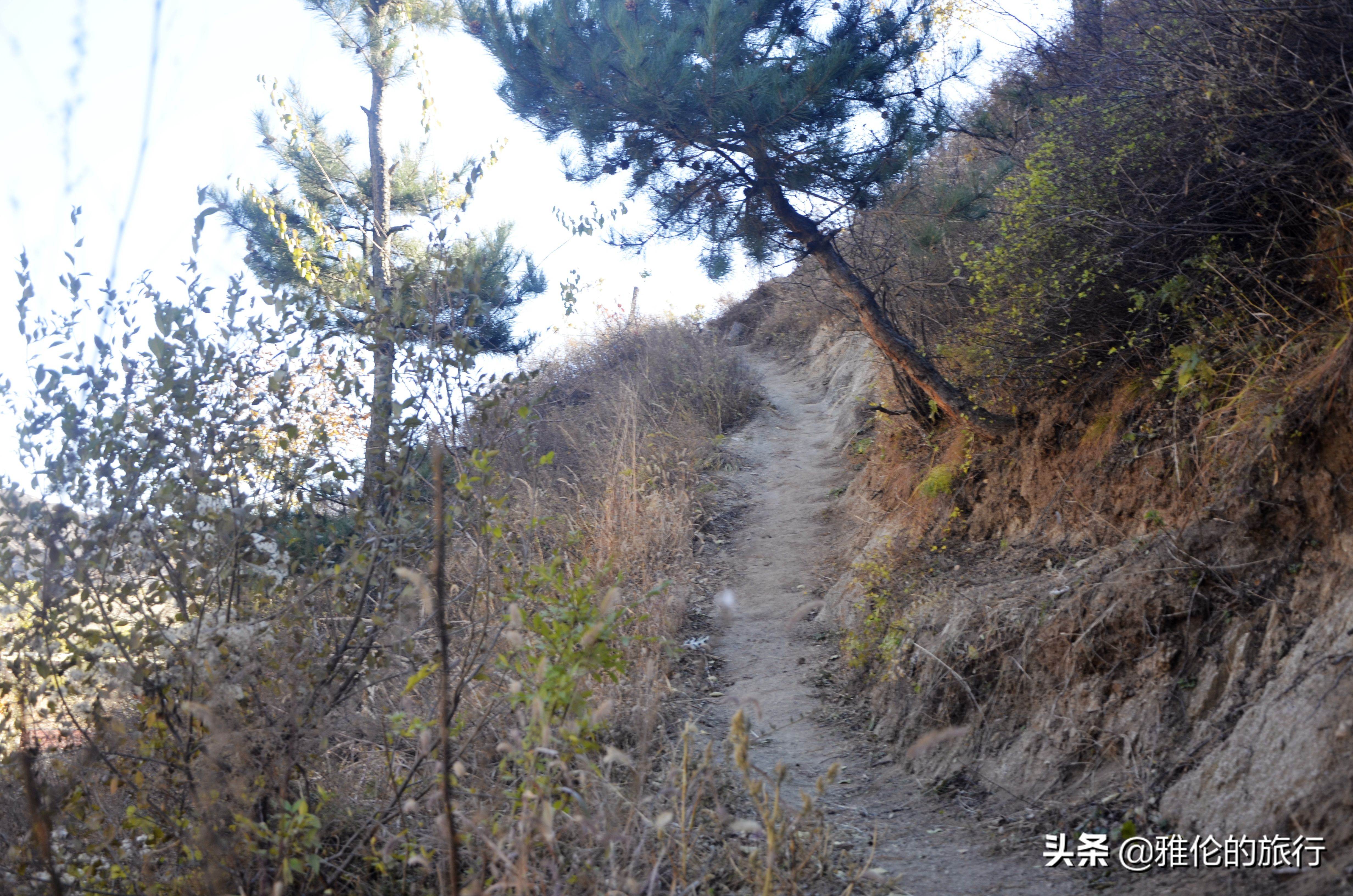 保定哪里可以爬长城,现在爬长城去哪一个比较好