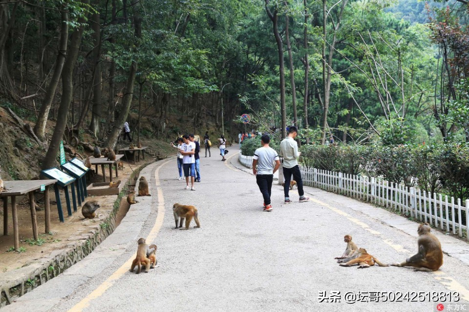 贵州黔灵山门票是多少,黔灵山景区门票价目表