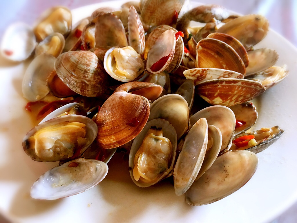 小长假说走就走,短途旅游说走就走