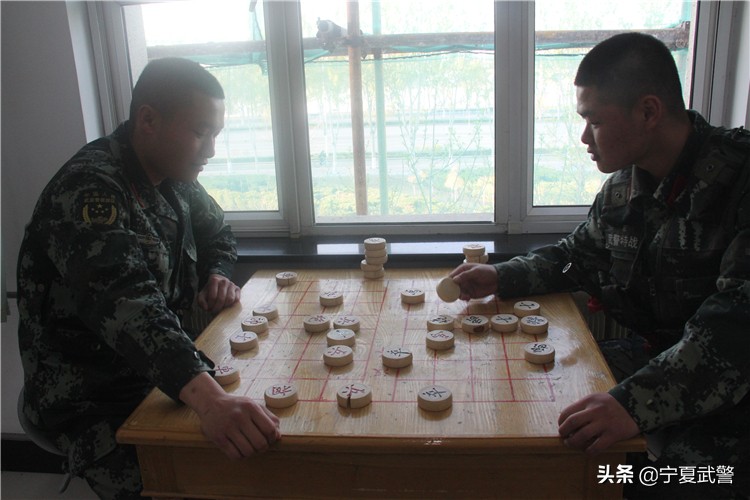 流浪计划视频,流浪手机电影预告