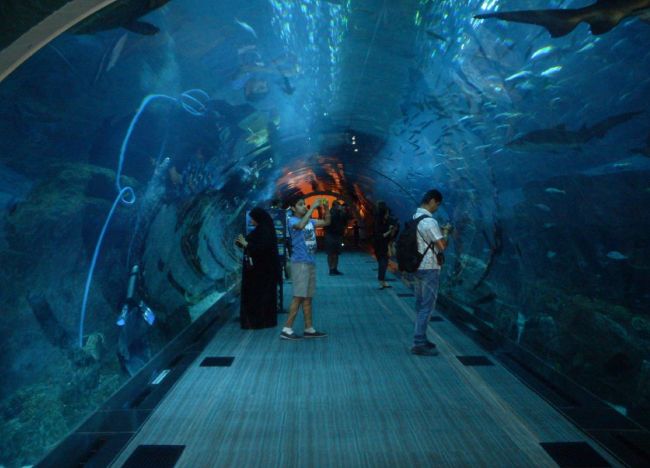 迪拜最新的旅游景点,迪拜必玩的十大景点