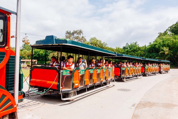 广州长隆旅游攻略自由行详细,广州长隆五一节3天2夜亲子游攻略