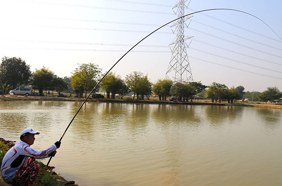 干货无死角青鱼黑坑的上岸攻略,新手玩黑坑选什么竿子