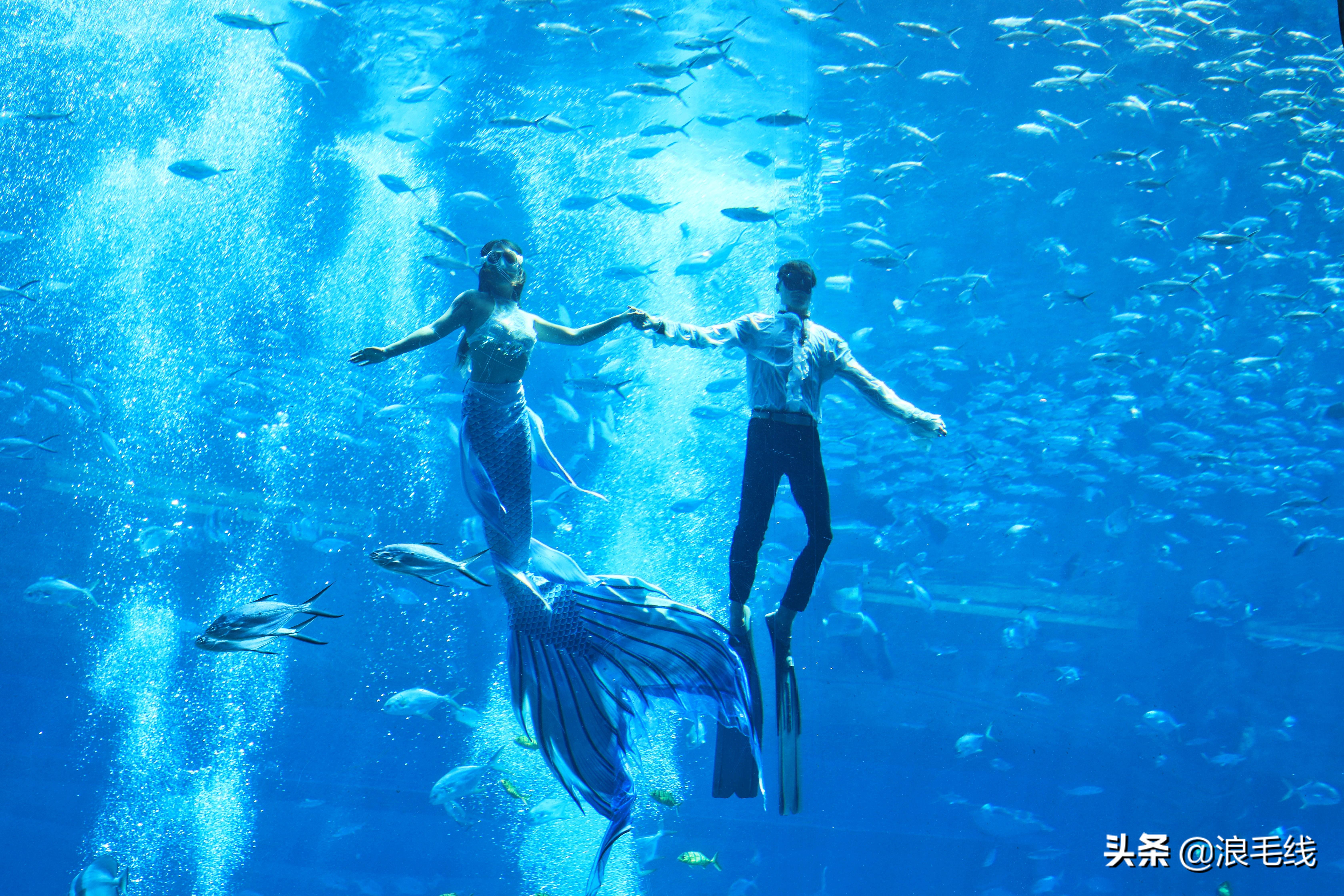 三亚海棠湾自由行热门攻略,那年夏天那片海简介