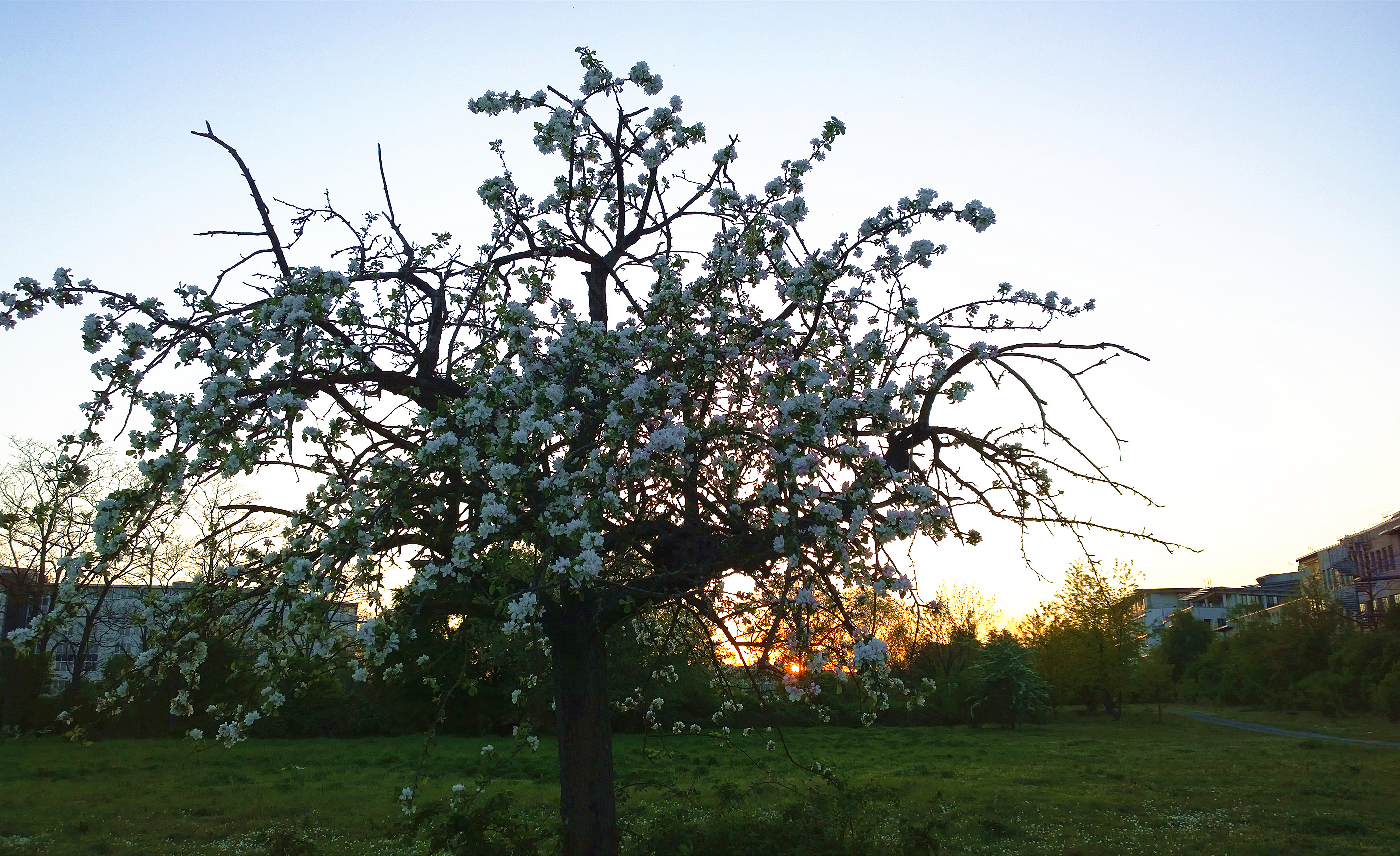 法兰克福一日游攻略大全,法兰克福旅游自由行推荐