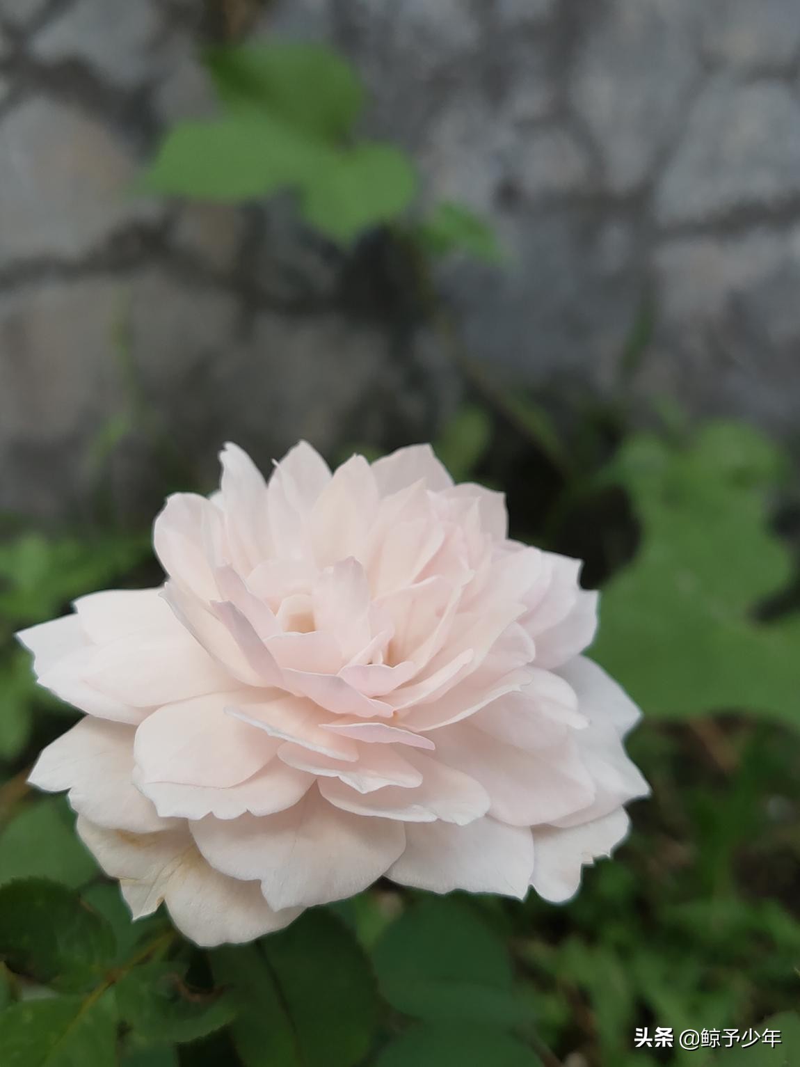 全南二中的风景,全南二小街拍