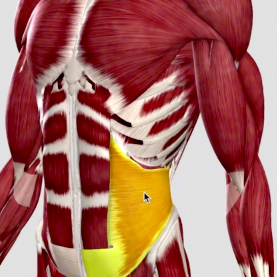 太极练功札记5,太极拳修行日志6式