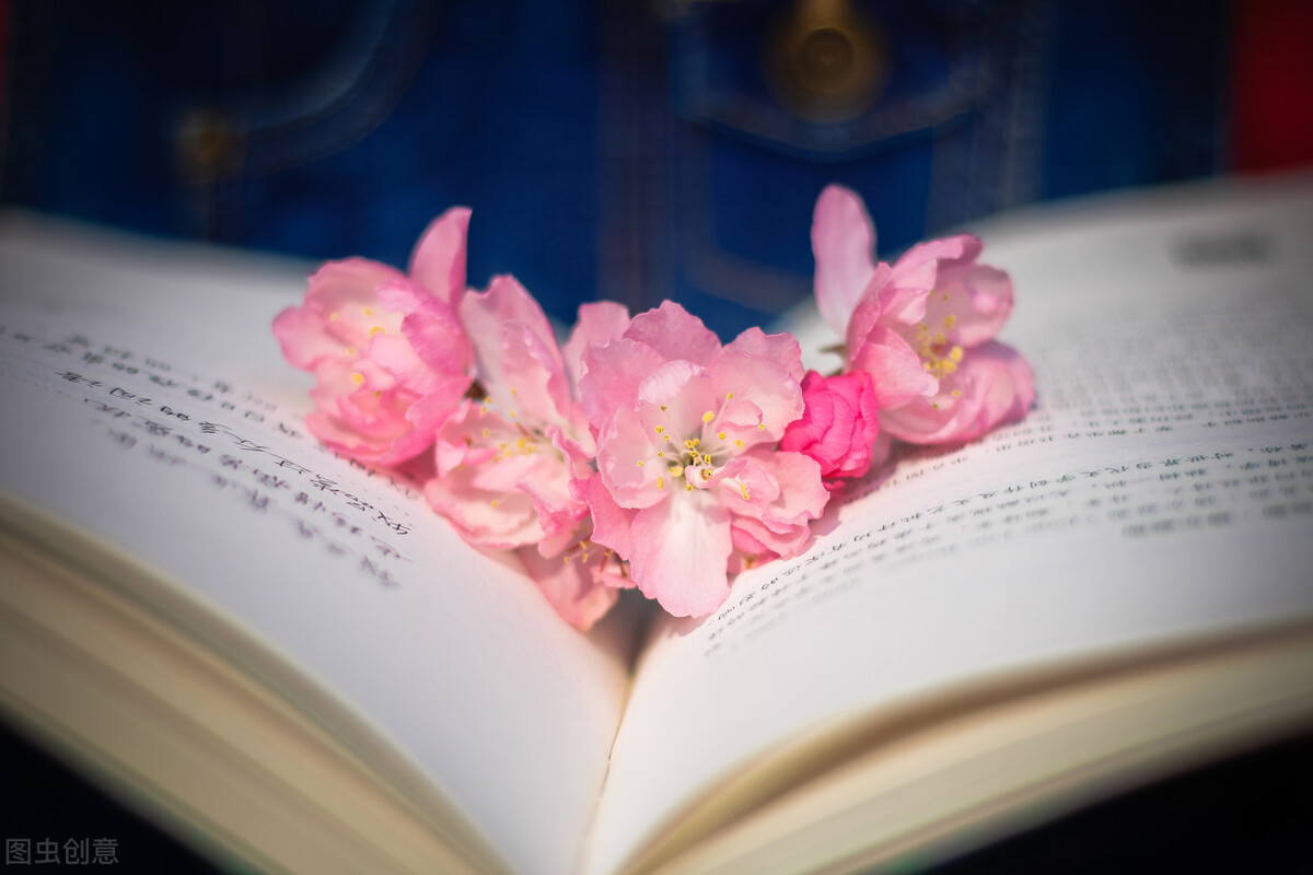 腹有诗书气自华千古名句一生必背,腹有诗书气自华的感悟