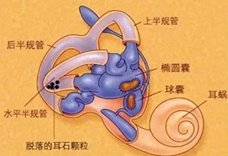 家庭感统训练前庭失调,家庭感统训练前庭训练