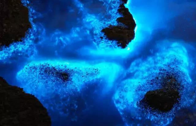 江浙沪500以内网红民宿,最适合小住的海边民宿