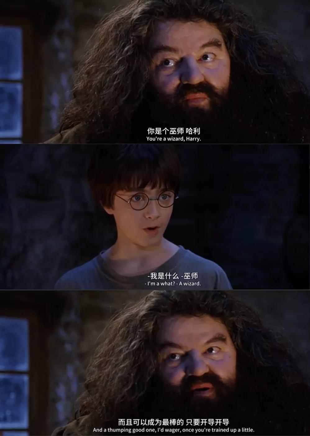 哈利波特的一生,哈利波特人物一生回忆录