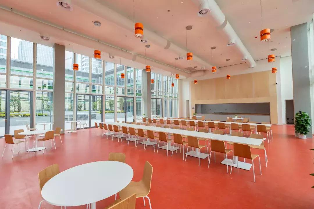 深圳国际幼儿园费用都有哪些,这所深圳国际学校究竟有多硬核