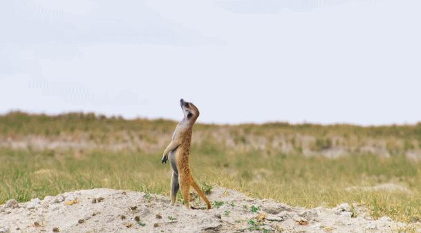 bbc纪录片最值得看的,bbc神级纪录片豆瓣评分超9