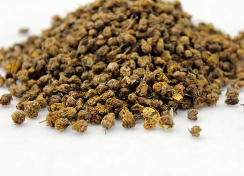 中药野菊花是热性还是寒性,野菊花清热解毒