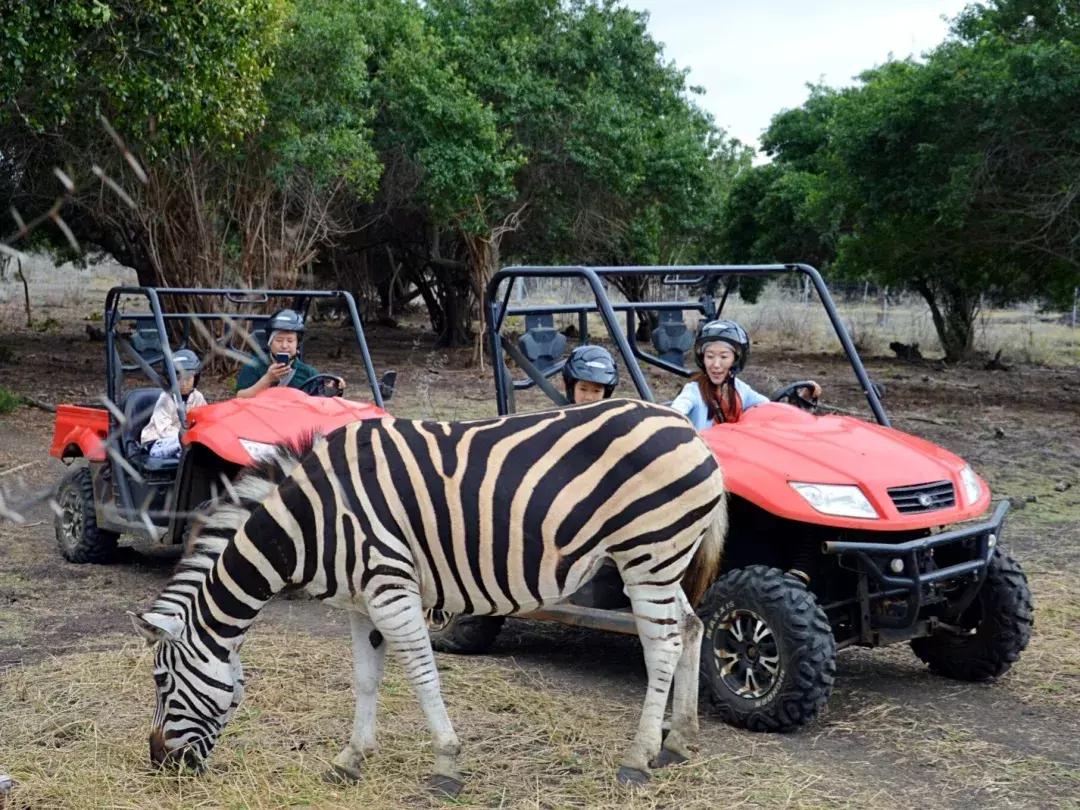 白本护照出境法国旅游免签吗,白本护照旅游去哪个国家比较好