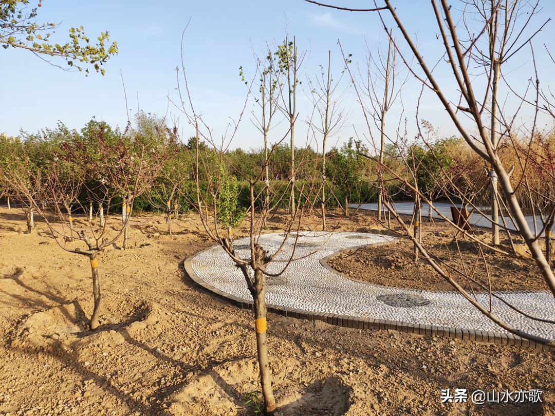 石家庄有个天然氧吧,石家庄天然氧吧旅游景点