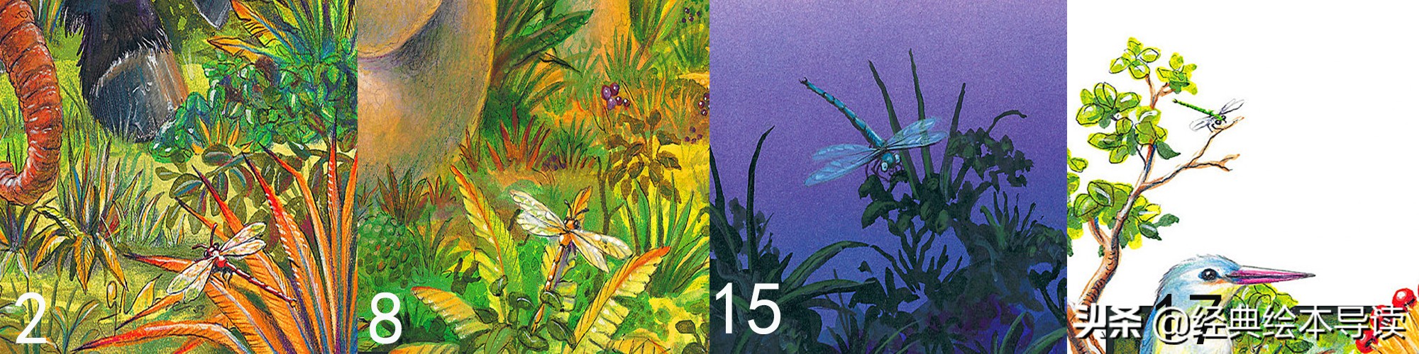 “弱势”与卑微生命的愿望——《阿吉的许愿鼓》导读