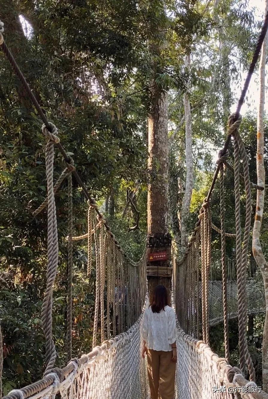 云南的西双版纳州怎么样,云南西双版纳景区怎么样