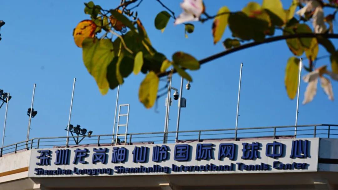 大运绿道跑步路线,大运公园绿道