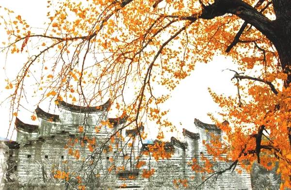 韶关最值得去的古村,韶关私藏了一个粉墙黛瓦的古村落