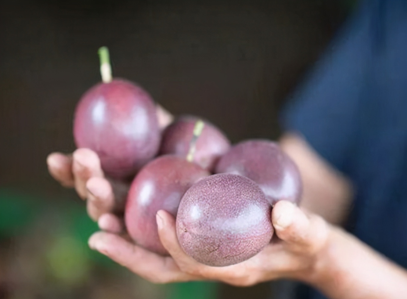 买来的百香果可以直接泡水吗,百香果买来就可以吃吗