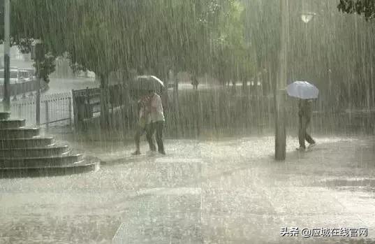 应城新闻今日,2019应城新闻今日头条