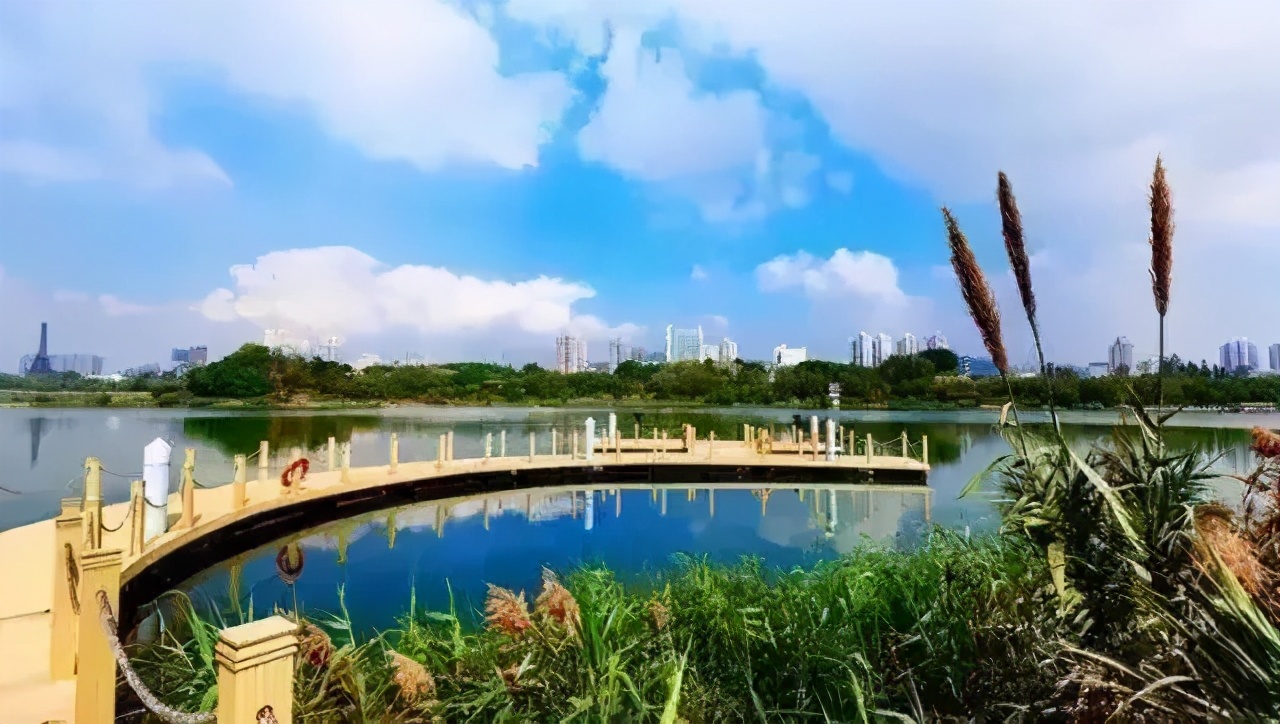 深圳免门票景点推荐,深圳市内近20个景点一票通玩