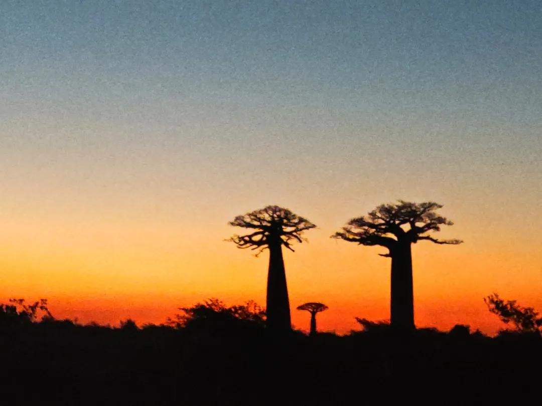 十年后农村女孩逆袭成为女总,一个农村姑娘的十年从乡村到城市