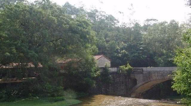 广东森林公园推荐,广东十大森林公园旅游景点