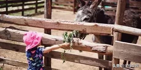 国内不太偏的亲子小众旅游 (全球最适合亲子游的十大旅游胜地)