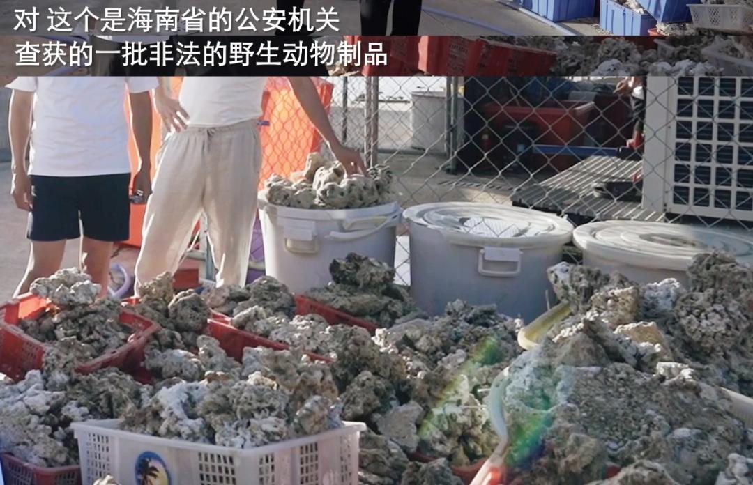 现中国顶流男团是哪个,中国男团的顶流