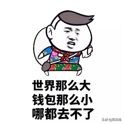 百花词测评,百花词