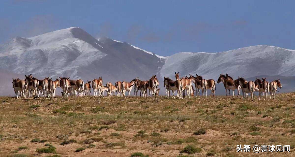 中国之最的城市你知道多少,中国之最你们都知道吗