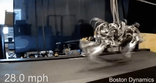 53万一只，波士顿动力机器狗也赶618开卖？淘宝百万代购已上线