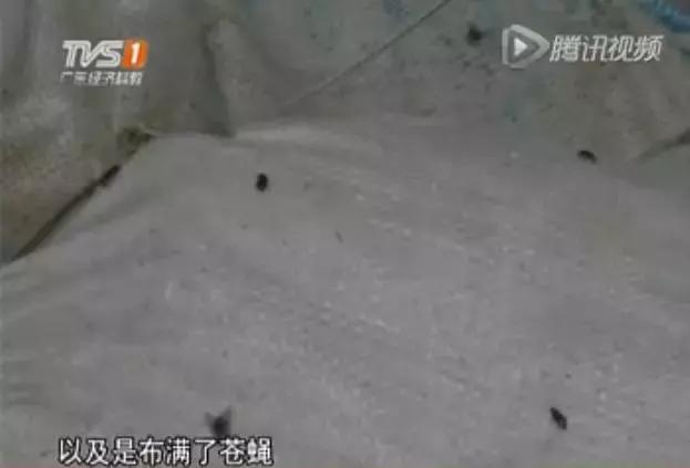 假月饼加工窝点,月饼窝点造假视频