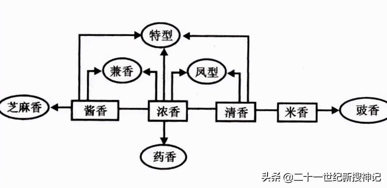 性命之谜（十三）气味：神仙？妖怪？是什么决定了香与臭？