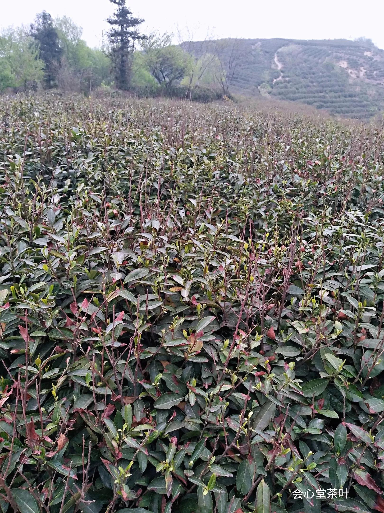 真的会有人愿意听我诉说吗,有哪些真心话是想对你男朋友说的