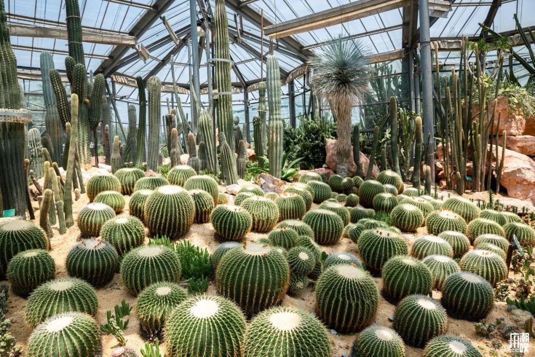 300+万㎡原始森林秘境，天河就有