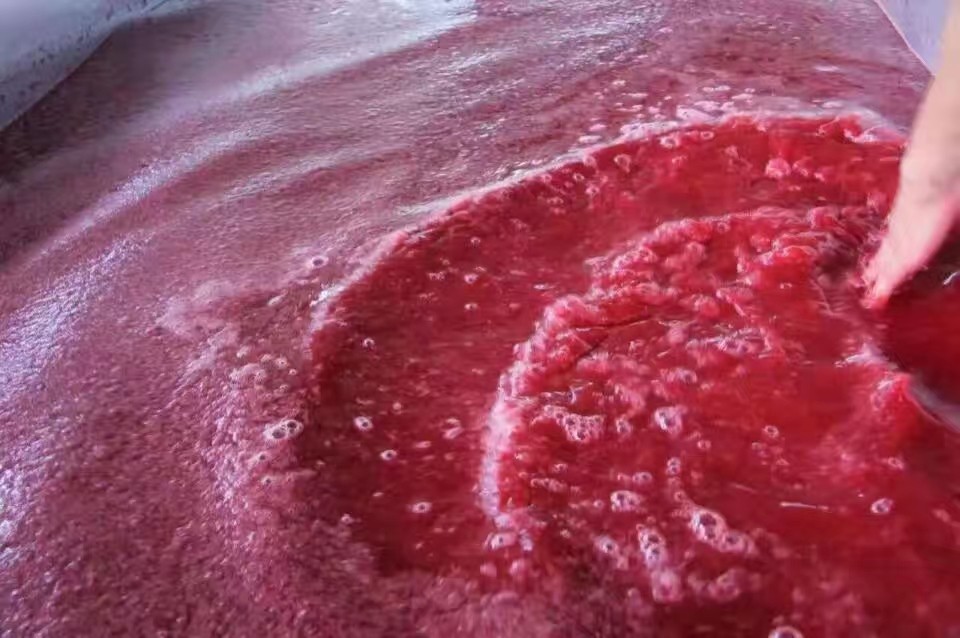 酿杨梅酒用冰糖发酵,杨梅酒发酵全过程