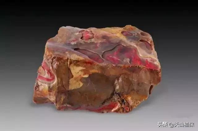 怎么捡到价值极高的石头,捡到一块石头价值千万