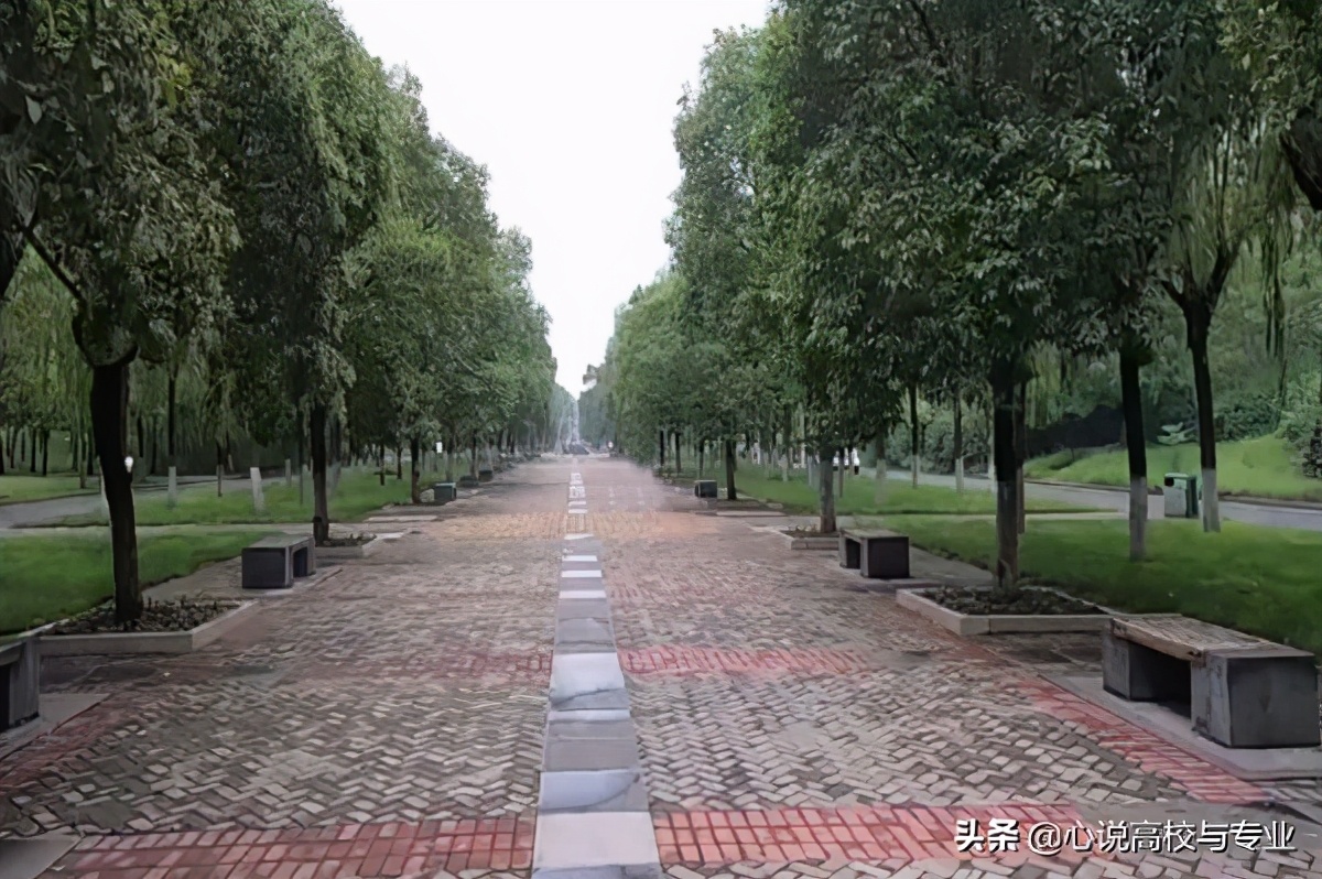 郑州大学2020年10个录取分数最高的专业，考上不容易