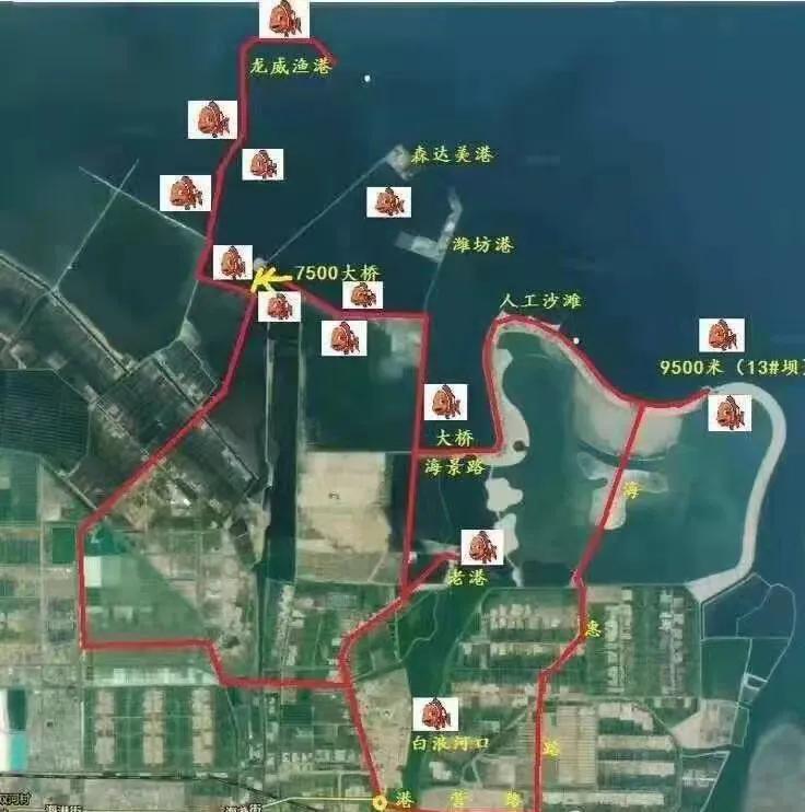 潍坊北海发现鬼头刀鱼是咋回事,潍坊北海鬼头刀