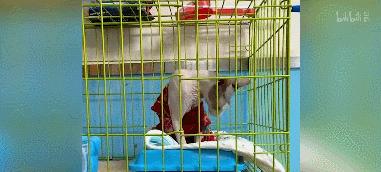 b站必看的综艺,b站能看的综艺推荐